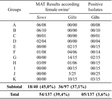 Table 1. Number of samples obtained from female pigs according SAM ≥ 100, to the groups and number of leptospira isolations.