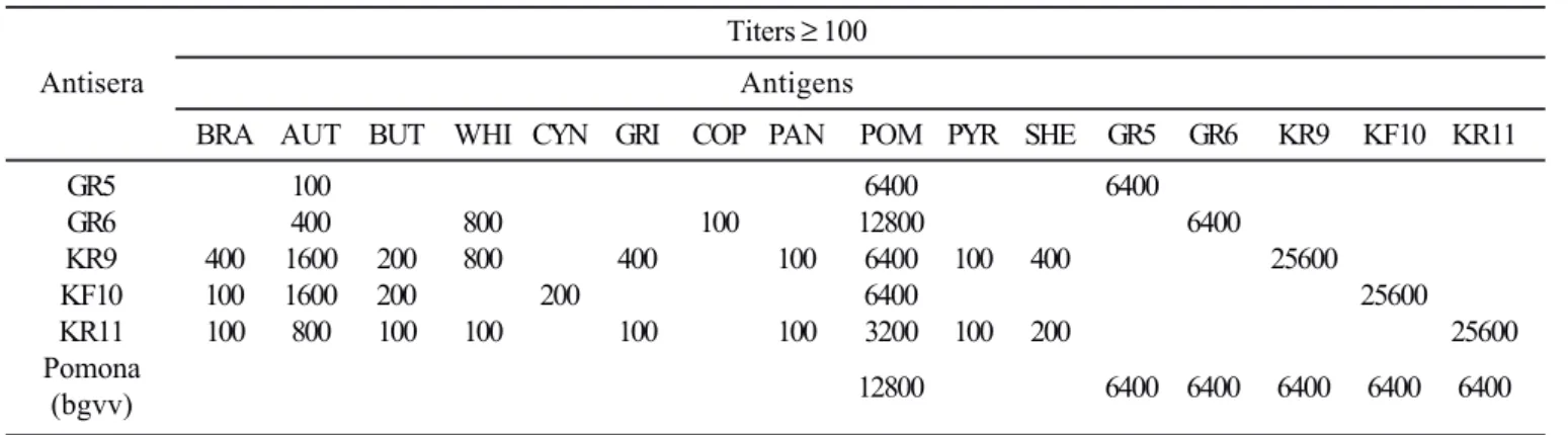 Table 5. VNTR analysis of five L. interrogans isolates and three reference strains. Copy number of VNTR locus.