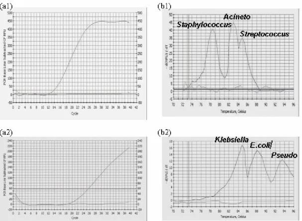 Figure 4. Amplification curves and melt peaks for the selected genes of the 6 nosocomial pathogens in a multiplex PCR reaction: 