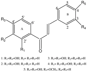 Figure  1.  Structure  of  compounds:  1:  2´,3-  dihydroxychalcone;  2:  2´,4-  dihydroxychalcone;  3:  2´,4´-  dihydroxychalcone;  4: 