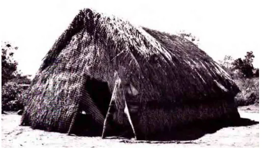 Figura 2: Casa da aldeia do Perigara, 1971. 