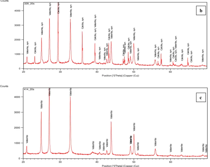 Figure  2.  XRD  analysis  of  cultures  after  12  days  incubation  in  modified  B4  medium  at  100  rpm