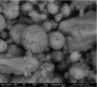 Figure  6.  Environmental  scanning  electron  micrograph of calcium carbonate crystals produced in  modified B4 medium after 12 days incubation at 28 o  C  with  Bacillus  subtilis  INQCS  328  in  shaker  at  100  rotations per minute