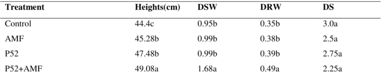 Table 2. Effect of treatments on Disease Severity (DS); mean height; shoot and root dry weight after 6 weeks  Treatment  Heights(cm)  DSW  DRW  DS  Control  AMF  P52  P52+AMF  44.4c  45.28b 47.48b 49.08a  0.95b 0.99b 0.99b 1.68a  0.35b 0.38b 0.39b 0.49a  3