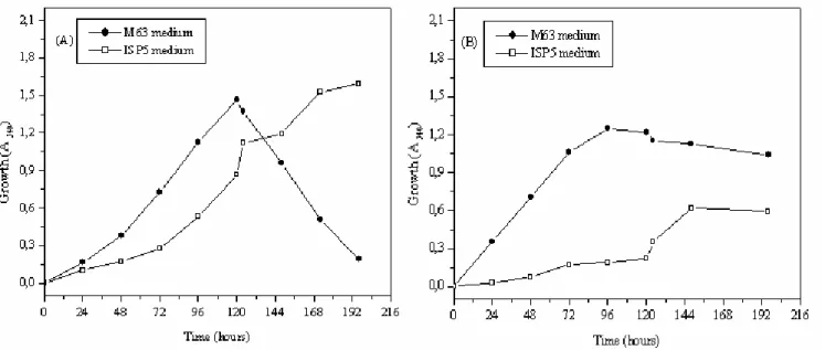 Figure 1. Growth characteristics of Streptomyces sp. MADO2 (A) and Nocardiopsis sp. MADO3 (B) grown in M63 medium and  ISP5 medium