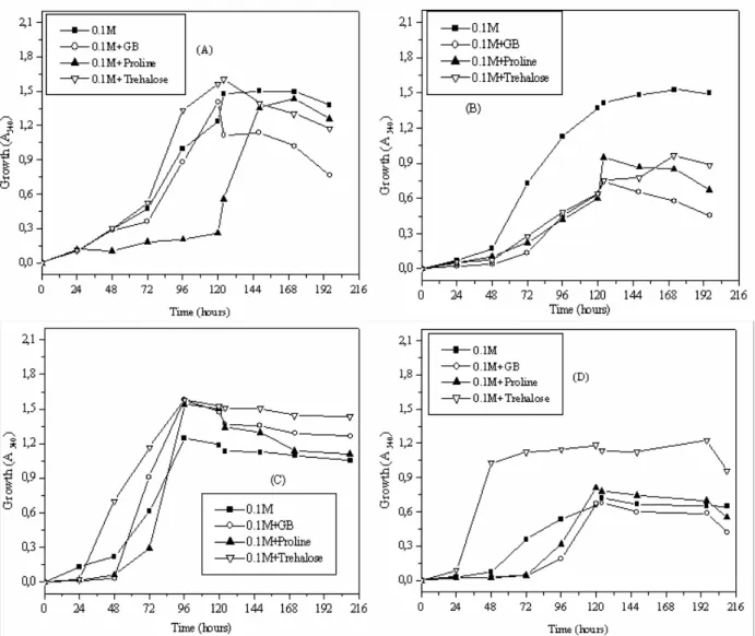 Figure 4. Growth of Streptomyces sp. MADO2  in M63 medium (A),  in ISP5 medium (B) and Nocardiopsis sp