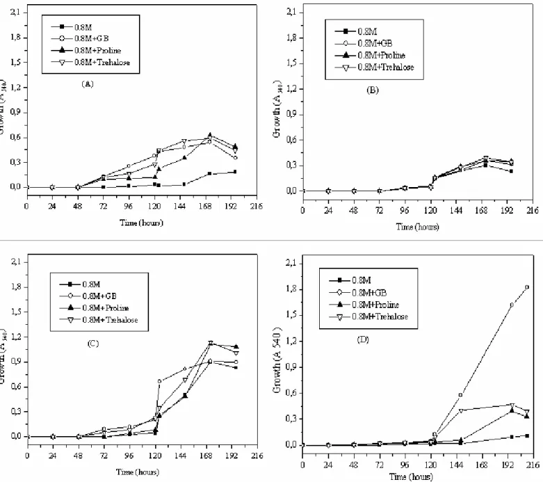 Figure 6. Growth of Streptomyces sp. MADO2 in M63 medium (A), in ISP5 medium (B) and  Nocardiopsis sp