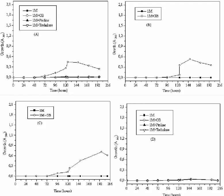 Figure 7. Growth of Streptomyces sp. MADO2 in M63 medium (A), in ISP5 medium (B) and  Nocardiopsis sp