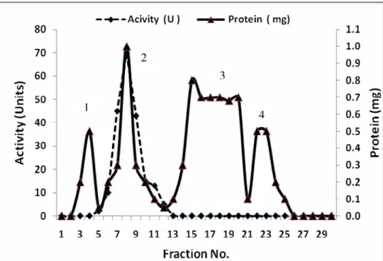 Figure 4. Purification of Inulinase II from Aspergillus foetidus using ion exchange on DEAE-Cellulose