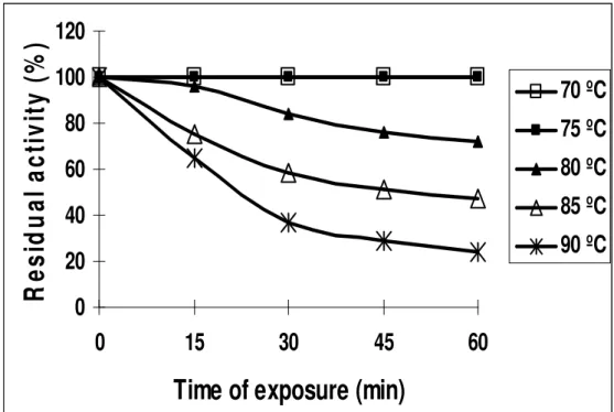 Figure 6. Thermal stability of the purified inulinase I from Thielavia terrestris 