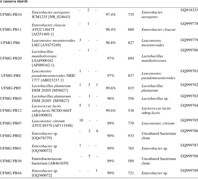 Table 1. Most closely related bacterial species to the sour starch cassava, cachaça and cheese species based on BLASTn analysis