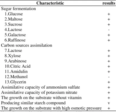 Figure 4. Sequencing results of the ITS region of Y-1. Primer  sequences were underlined 