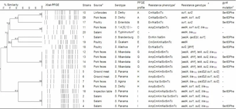 Figure  1.  PFGE  of  XbaI-digested  DNA,  serovars,  susceptibility  profiles,  characterization  of  class  1  integrons,  and  genes  associated  with  antibiotic  resistance  in  twenty  MDR  Salmonella  enterica  strains  recovered  from  foodstuff  a