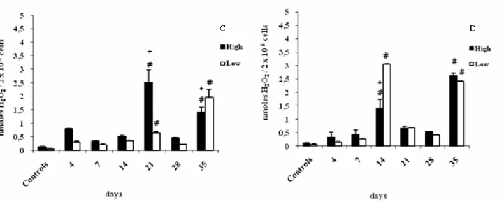 Figure 4.  Hydrogen peroxide production by splenic macrophages of High and Low mice from the IV-A selection infected with L