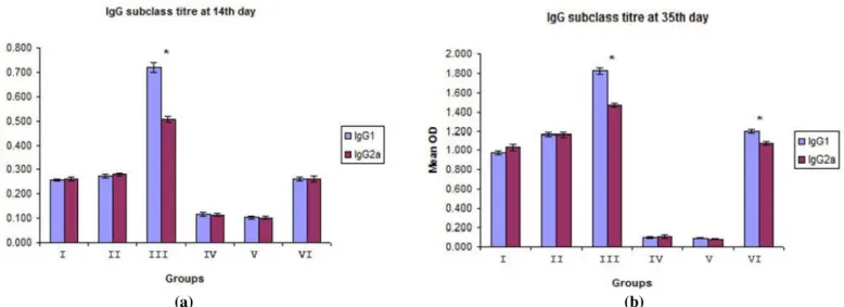 Figure 5a &amp; 5b. Serum IgG1 and IgG2a responses in immunized mice measured by indirect ELISA at 14 th  day post immunization (a)  and  35 th   day  post  immunization  (b)