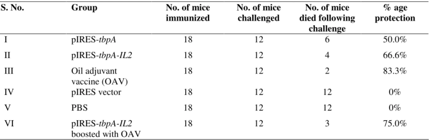 Table 1. Protection afforded by various vaccines against challenge with P. multocida 