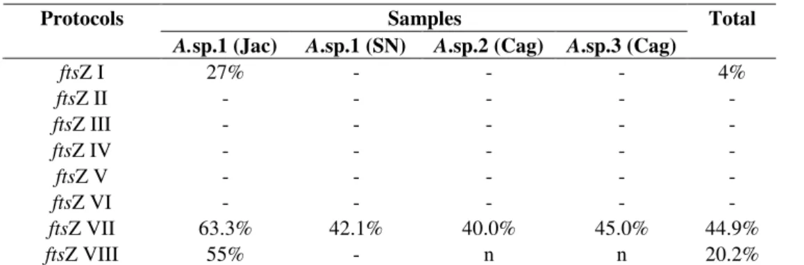 Table  3.  Efficiency  of  the  ftsZ  primer  in  detecting  Wolbachia  in  Anastrepha  samples  using  the  altered  protocols  (ftsZ  I-VIII)  described in Table 2