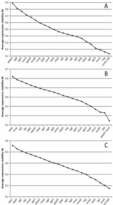 Figure  1.  The  average  expression  stability  (M)  of  selected  genes  for  the  Mycobacterium  avium  subsp