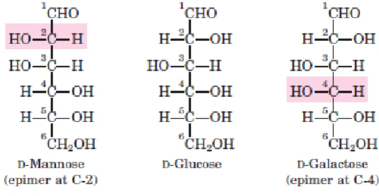 Figure  I  6  shows  the  structures  of  the  D  stereoisomers  of  all  the  aldoses  and  ketoses  having three to six carbon atoms