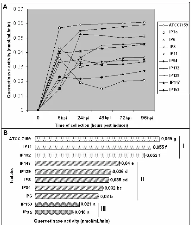 Figure 1. Analysis of extracellular production of quercetinase activity available in the culture supernatant of Beauveria bassiana