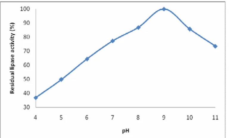 Figure  3.  Lineweaver-Burk  plot  for  lipase  from  Bacillus  sp. 
