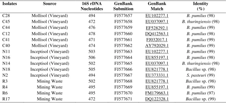 Table  5.  DNA-based  identification  of  isolates  from  different  contaminated  soils  vineyard  Mollisol  (C),  vineyard  Inceptisol  (N)  and copper mining waste (R)