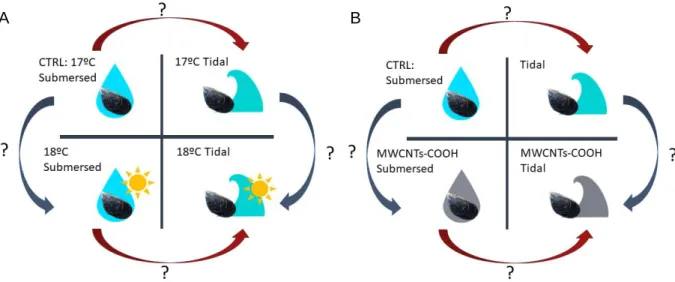Figure 1.2. Graphical representation of possible interactions between: A – Air exposure and  different temperatures; B – Air exposure and MWCNTs