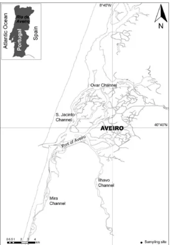 Figure 2.1. Study area: Ria de Aveiro. 