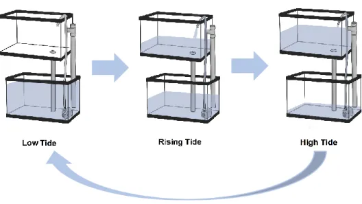 Figure 2.2. Experimental design of the automatic system developed to simulate tidal regime