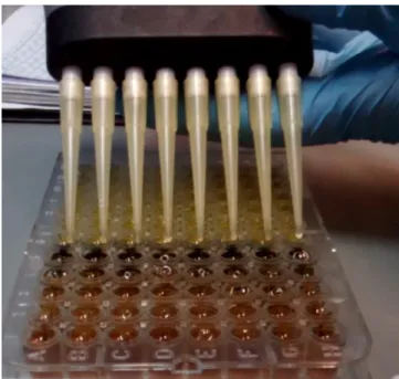 Figure 2.8. Samples with DNPH changing color by reacting with NaOH. 