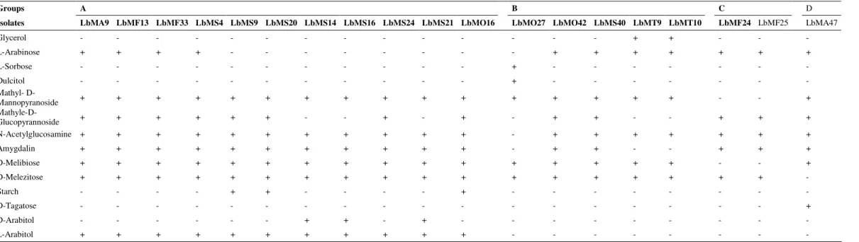 Table 2. Fermentation of carbohydrates by Lactobacillus strains from Algerian goat’s milk, tested by the API 50 CHL system 