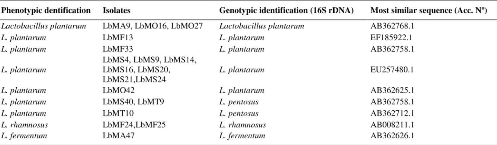 Table 3. Phenotypic and genotypic identification of Lactobacillus isolated from Algerian goat’s milk