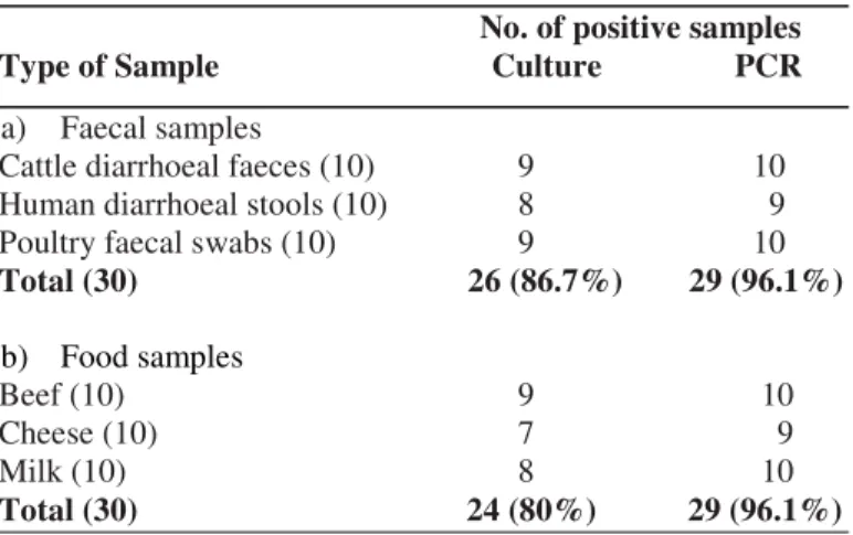 Figure  3.  Sensitivity  assay  of  PCR  by  10  fold  dilution  of  bacterial  DNA  derived  from  Campylobacter  jejuni  culture
