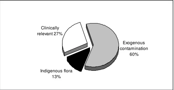 Figure  1.  Classification  of  the  204  coagulase-negative  staphylococcal  isolates  in  clinically  significant,  indigenous  flora  and  exogenous contaminants following the criteria described in Materials and Methods