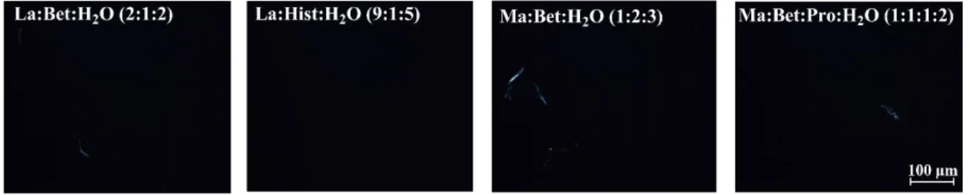 Figure 2.  POM images of NADES, at 293.15 K. 