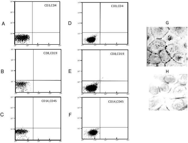 Figure  4  displays  the  southern  blot  results  obtained  from   PCR  assays  performed  in  oral  keratinocytes  DNA  by  using  different  sets  of  HTLV-1  primers;  in  general  the  results  indicated  that  HTLV-1  positive  samples  amplified  ov