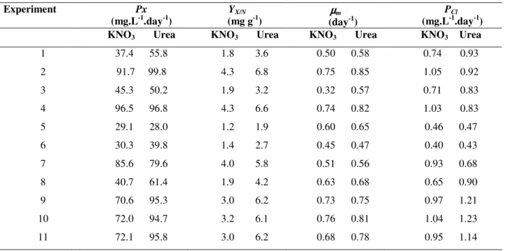 Table  2.  Cell  productivity  (Px),  nitrogen-cell  conversion  factor  (Y X/N ) ,  maximum  specific  growth  rate  (µ m )  and  chlorophyll  productivity (P Cl )