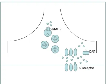 Fig. 1 Schematic representation of the dopaminergic synapse, illustrating the link between VMAT2 (vesicular monoamine transporter 2), DAT (dopamine transporter ) and D2 R (D2 receptor)