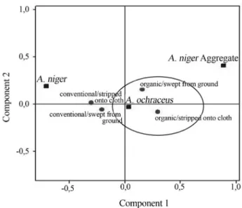 Figure 3 - Perception map of the associations between filamentous fungi and the harvest method of the sample coffee from Poço Fundo.