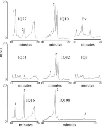 Figure 2 - Chromatograms representative of the type B trichothecene chemotypes detected in the tested isolates of F