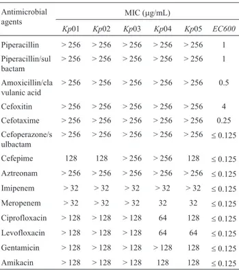 Table 2 - MICs of b-lactams, fluoroquinolones and aminoglycosides against K. pneumoniae strains.