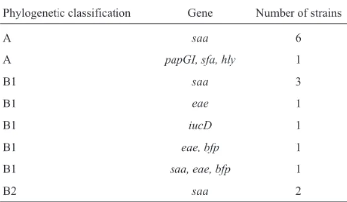 Table 1 - Identification of pathogens from fecal origin in sand of parks.
