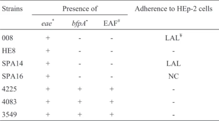 Table 1 - Characteristics of dog EPEC strains used in the experimental in- in-fection in vivo (1,20).