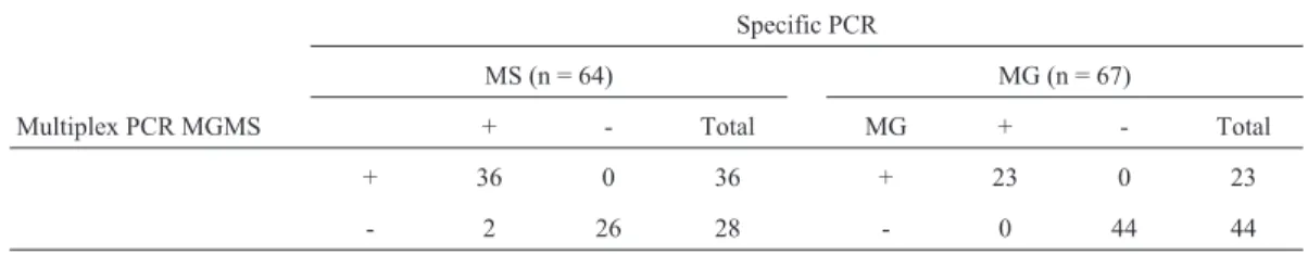 Table 4 - Analysis of the sensitivity and specificity of the Multiplex PCR MGMS compared to specific real time PCR MG and MS.