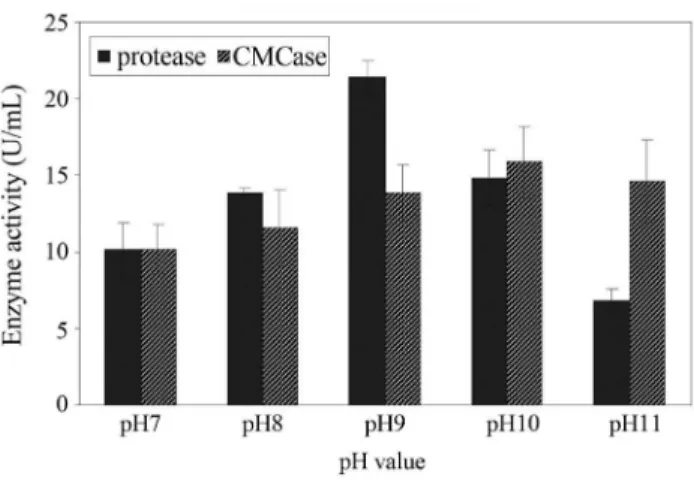 Figure 1 - Effect of different pH values on the production of protease and CMCase by Bacillus pumilus ATCC 7061