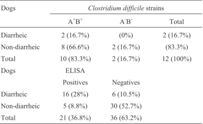 Table 2 - Presence of tcdA and tcdB genes in C. difficile strains isolated from diarrheic and non-diarrheic dogs in Brazil.