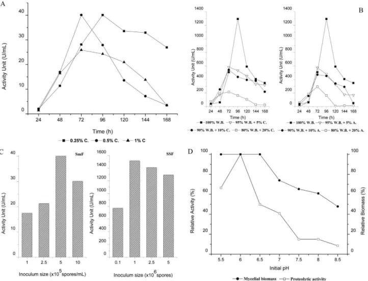 Figure 2 - Peptidase production by A. fumigatus in SmF and SSF. Effect of inductors (Casein (C) and egg albumin (A)) in SmF (a) and SSF (b)