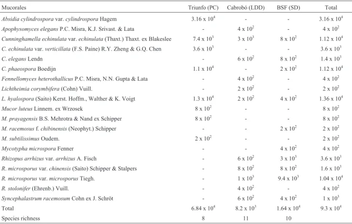 Table 1 - Number (CFU/g) and species richness of Mucorales in soils from three semiarid areas of Pernambuco (Triunfo, Cabrobó and Belém de São Francisco).