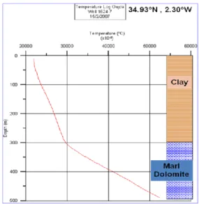 Fig. 4. Berkane borehole shown in Fig. 2. The temperature log is the red line. 
