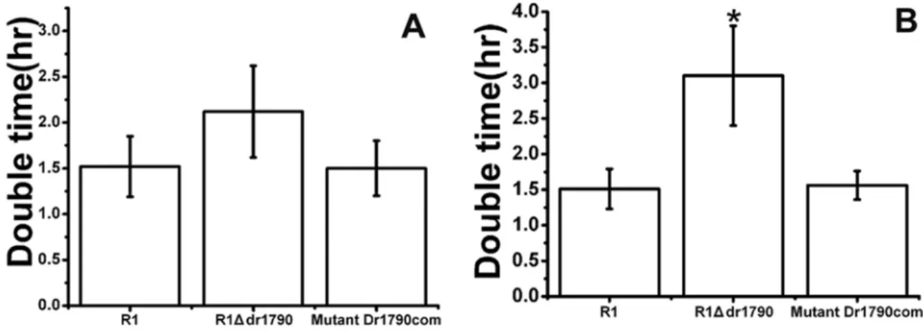 Figure 1 - Growth of wild type D. radiodurans R1 compared with the R1Ddr1790mutant strain under normal conditions in the lag (A) and log (B) phases.